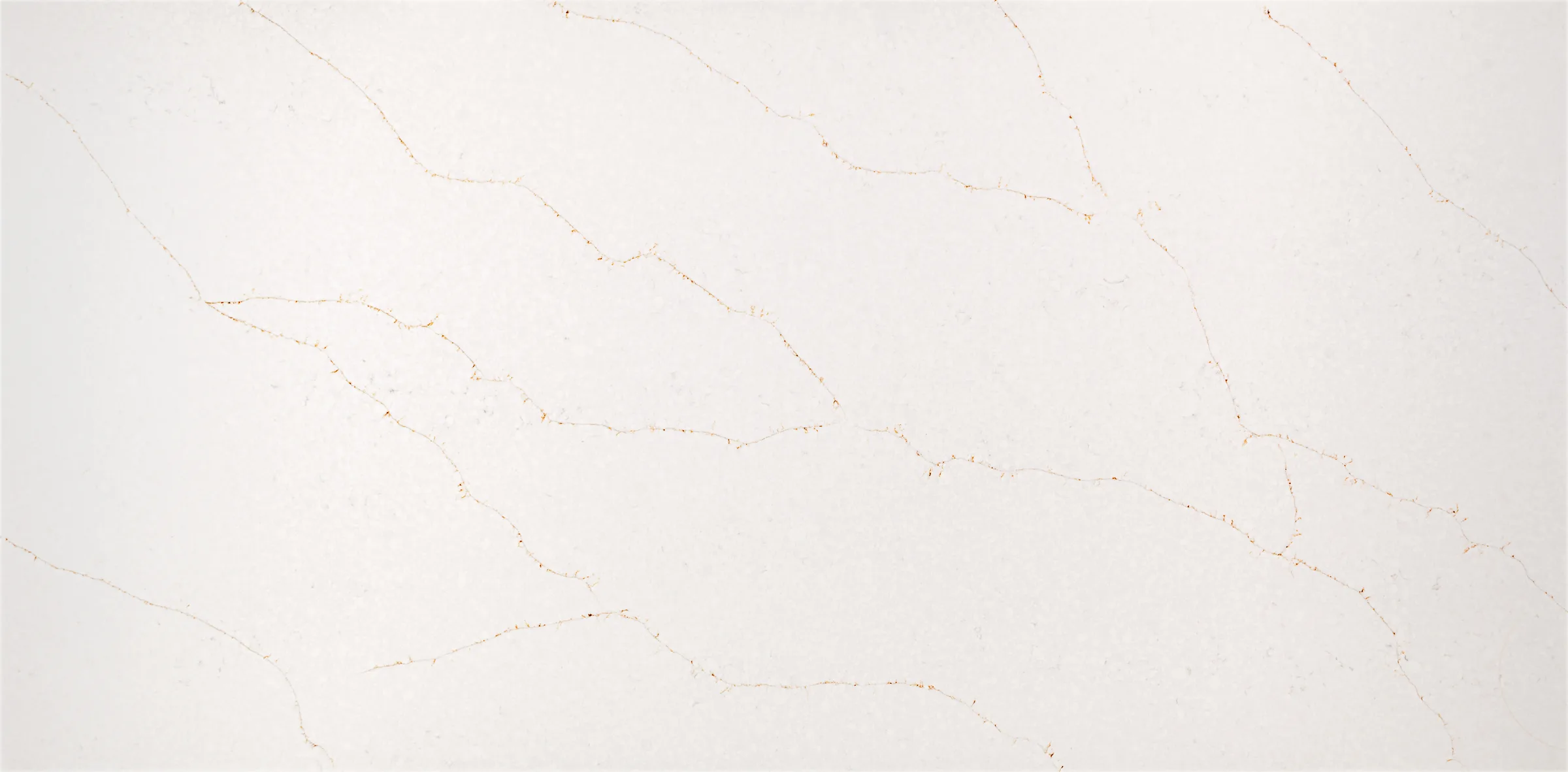 Calacatta Vivaldi Gold