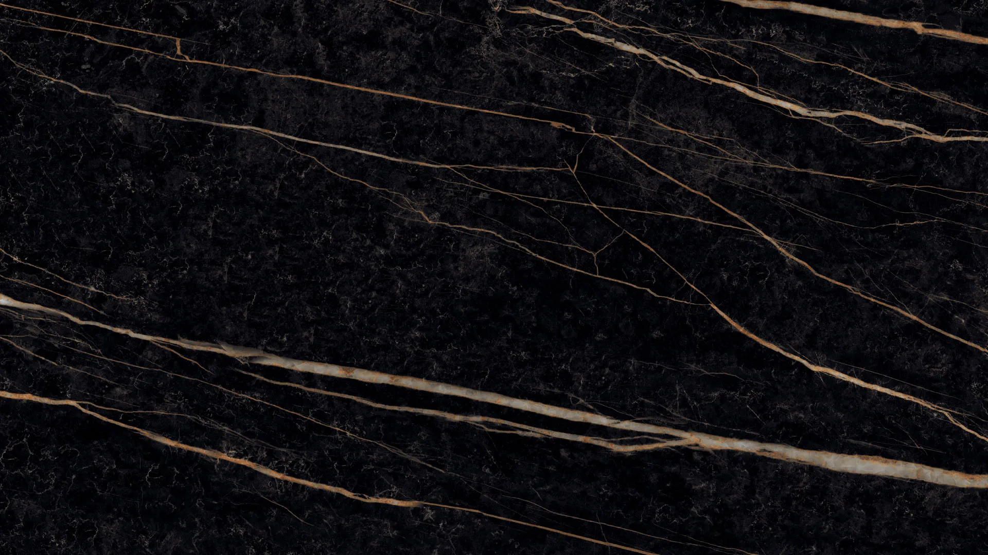 Sahara Noir