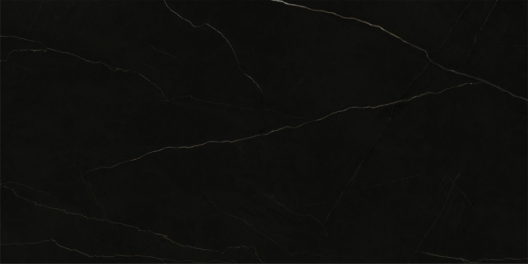 Elegant Black