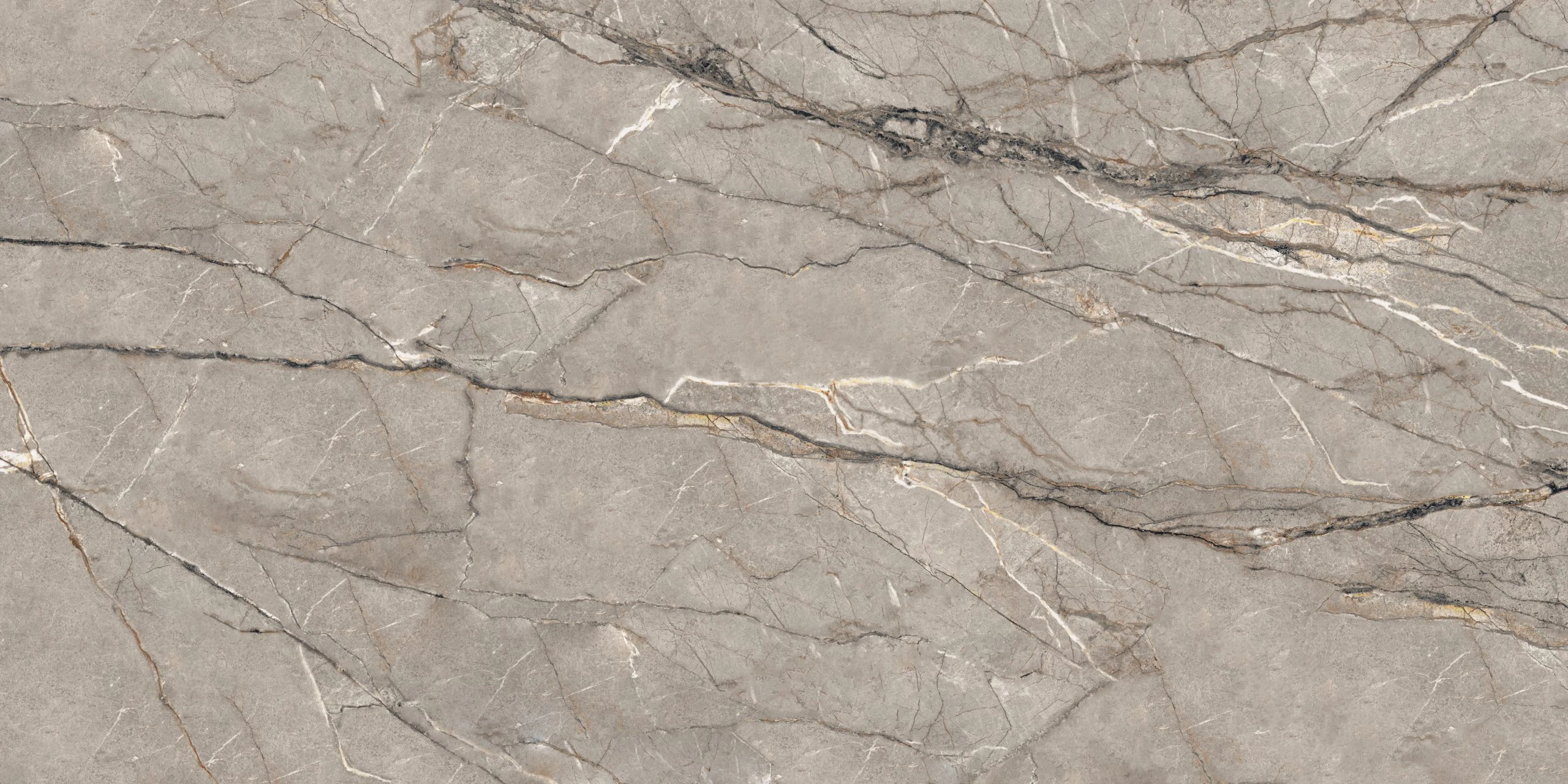 Silver Root